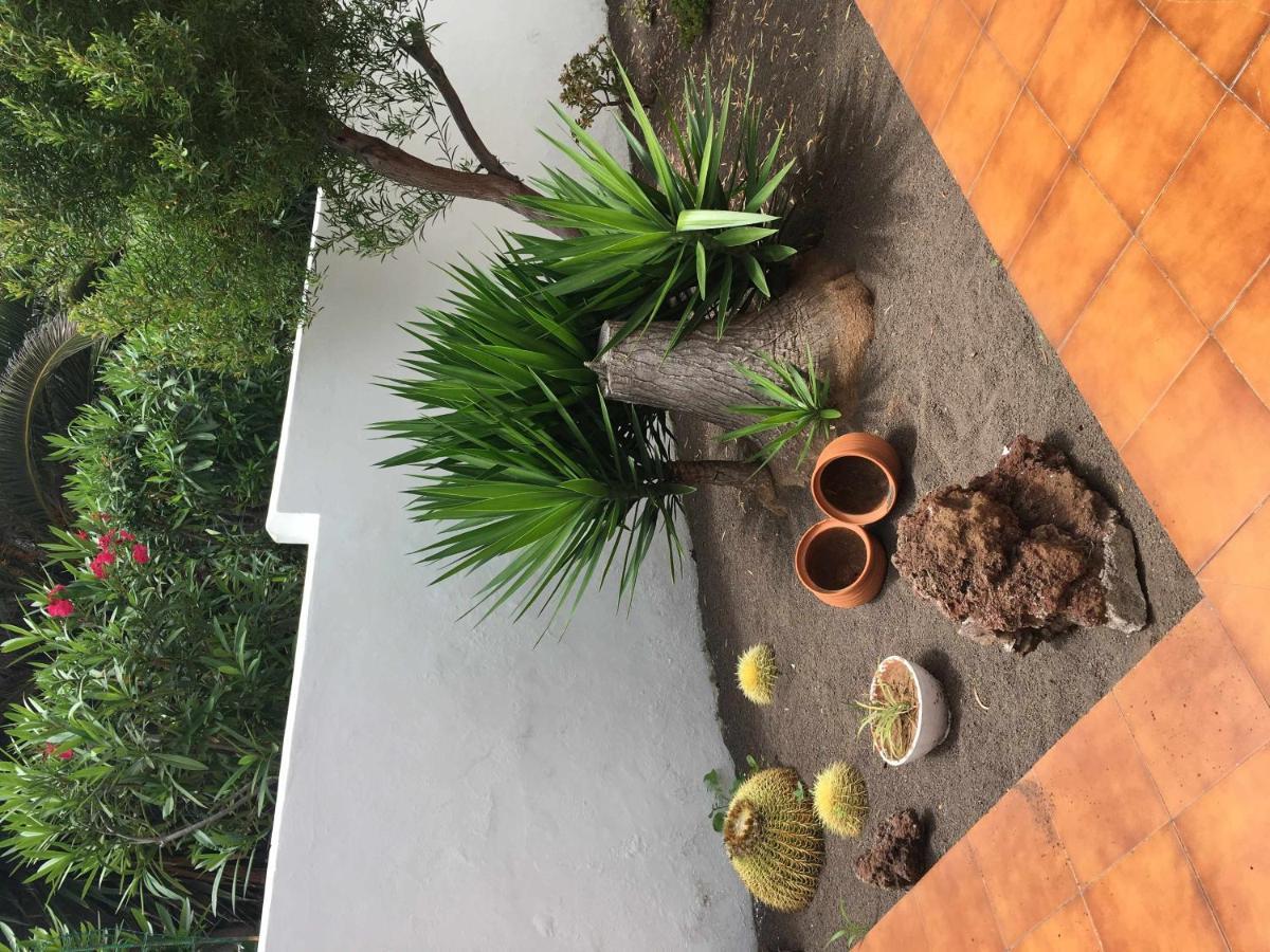 Apartamento con jardín y piscina B Puerto de la Cruz (Tenerife) Exterior foto